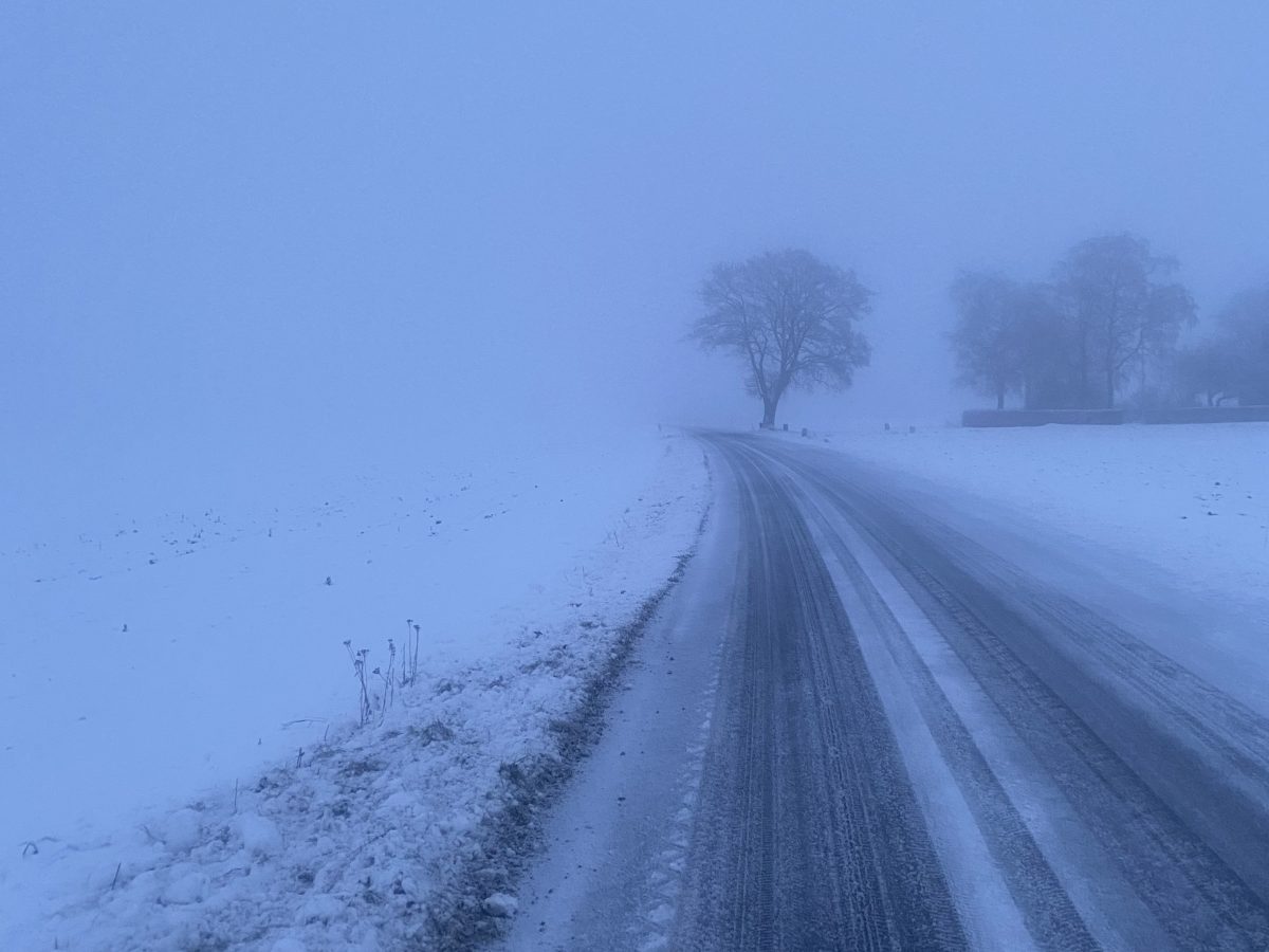 Running in a winter wonderland